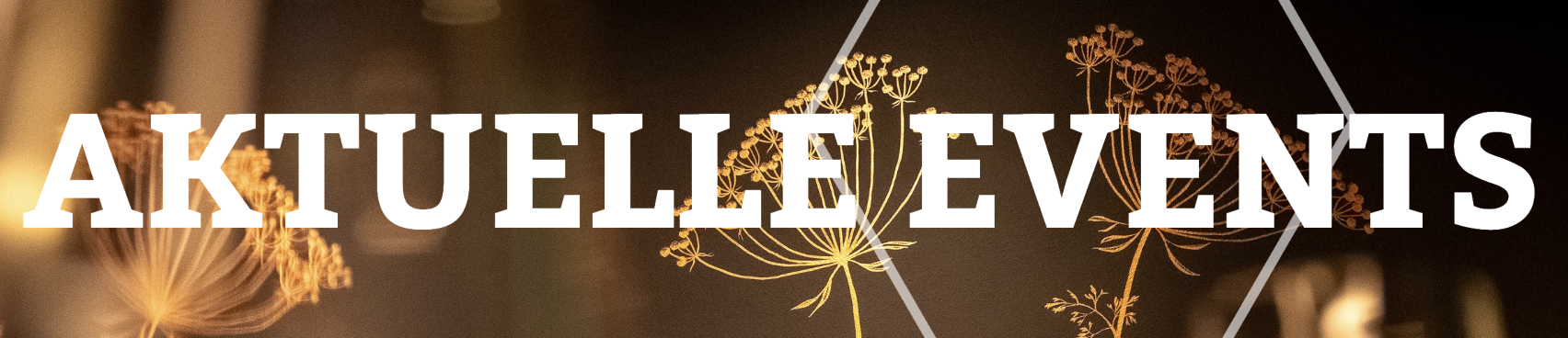 bildschirmfoto_2025-06-17_um_09.20.30.png bildschirmfoto_2025-06-17_um_09.20.30.png